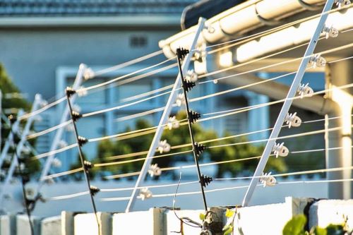 Electric fence perimeter security